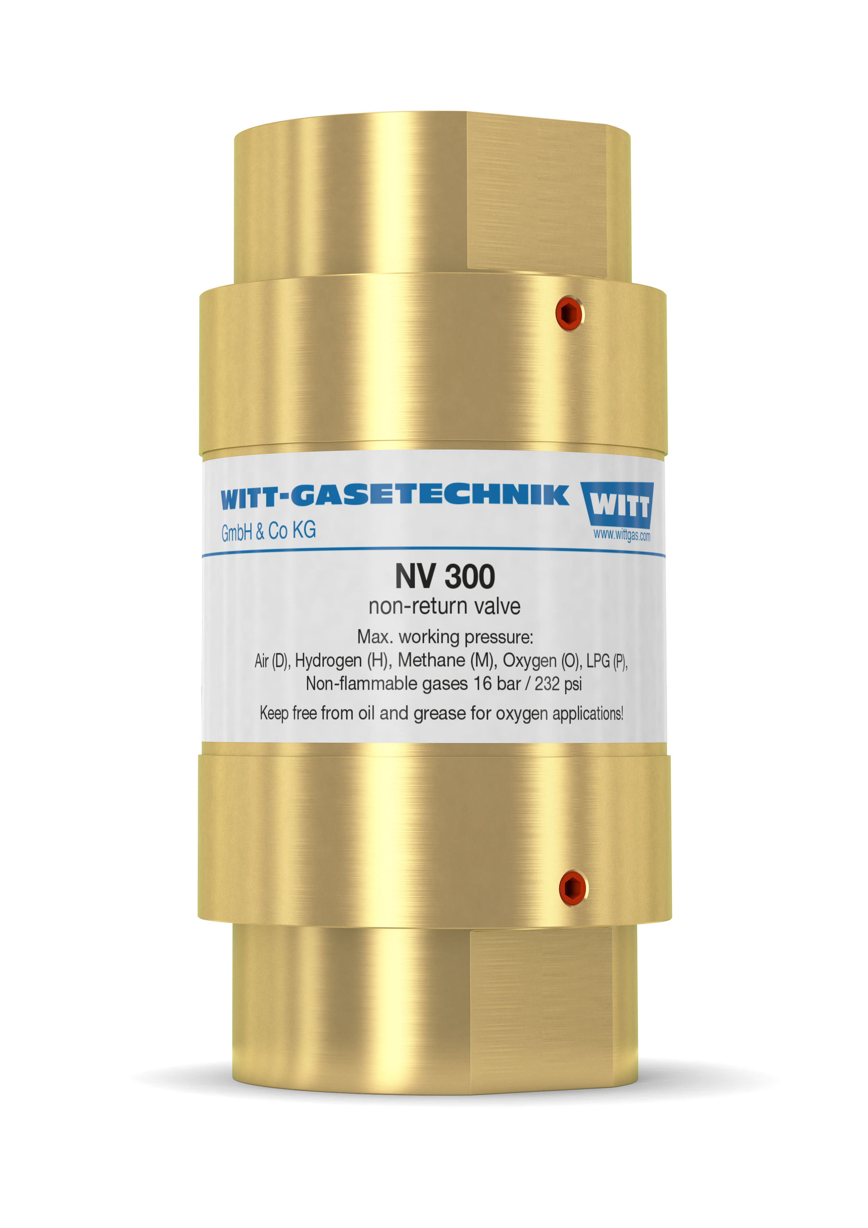 Обратный клапан NV 300  WITT-GASETECHNIK